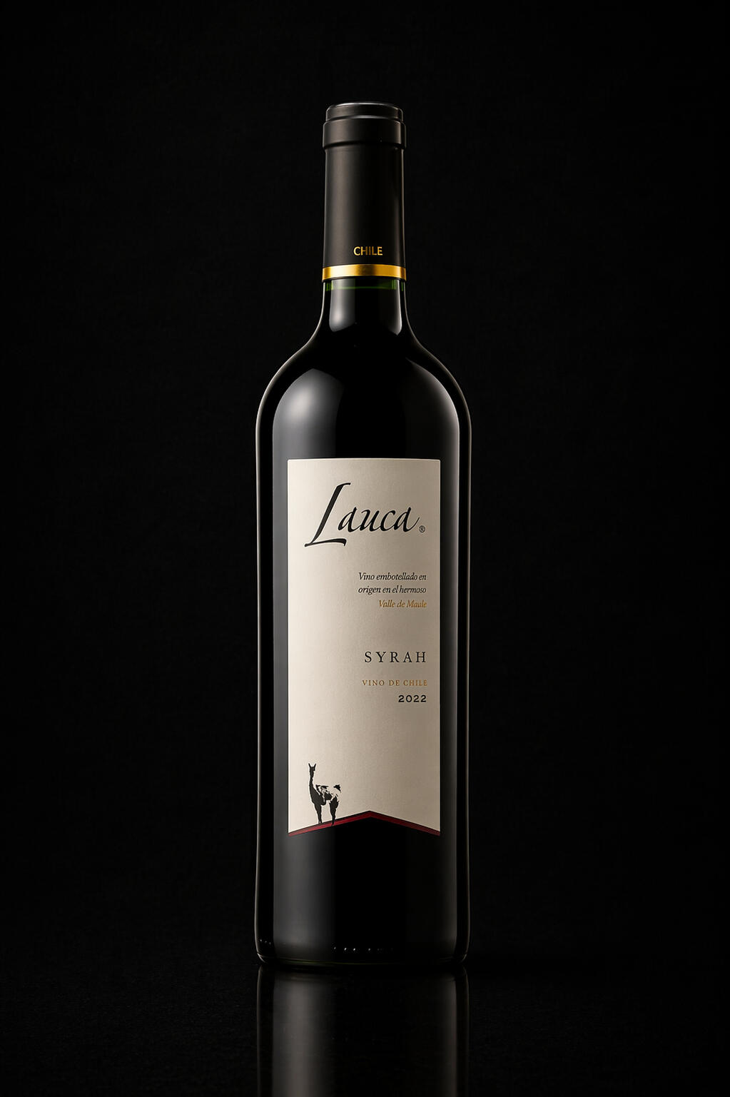 Lauca Syrah 2022 Garrafa do vinho chileno Lauca Syrah 2022, do Valle Central